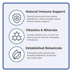 Close-up of Echinacea ingredient in U-Mune Immune Support