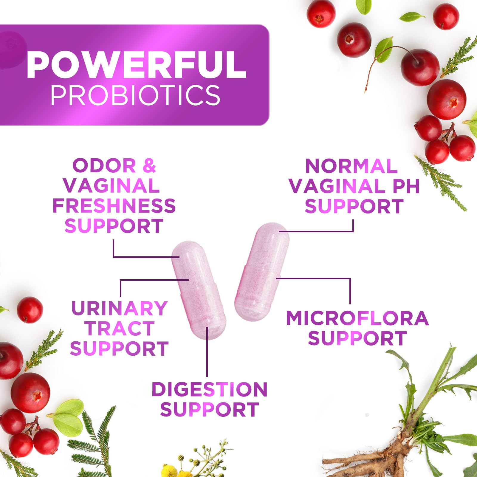 Cranberry-infused probiotic for vaginal and urinary health