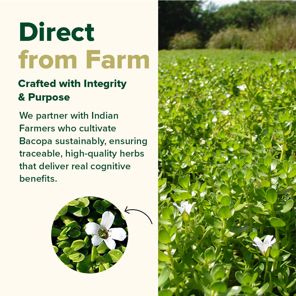 Herbal ingredients and Bacopa Monnieri extract