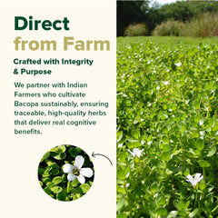 Herbal ingredients and Bacopa Monnieri extract
