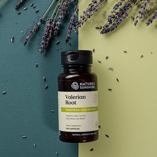 Close-up of valerian root capsules promoting relaxation
