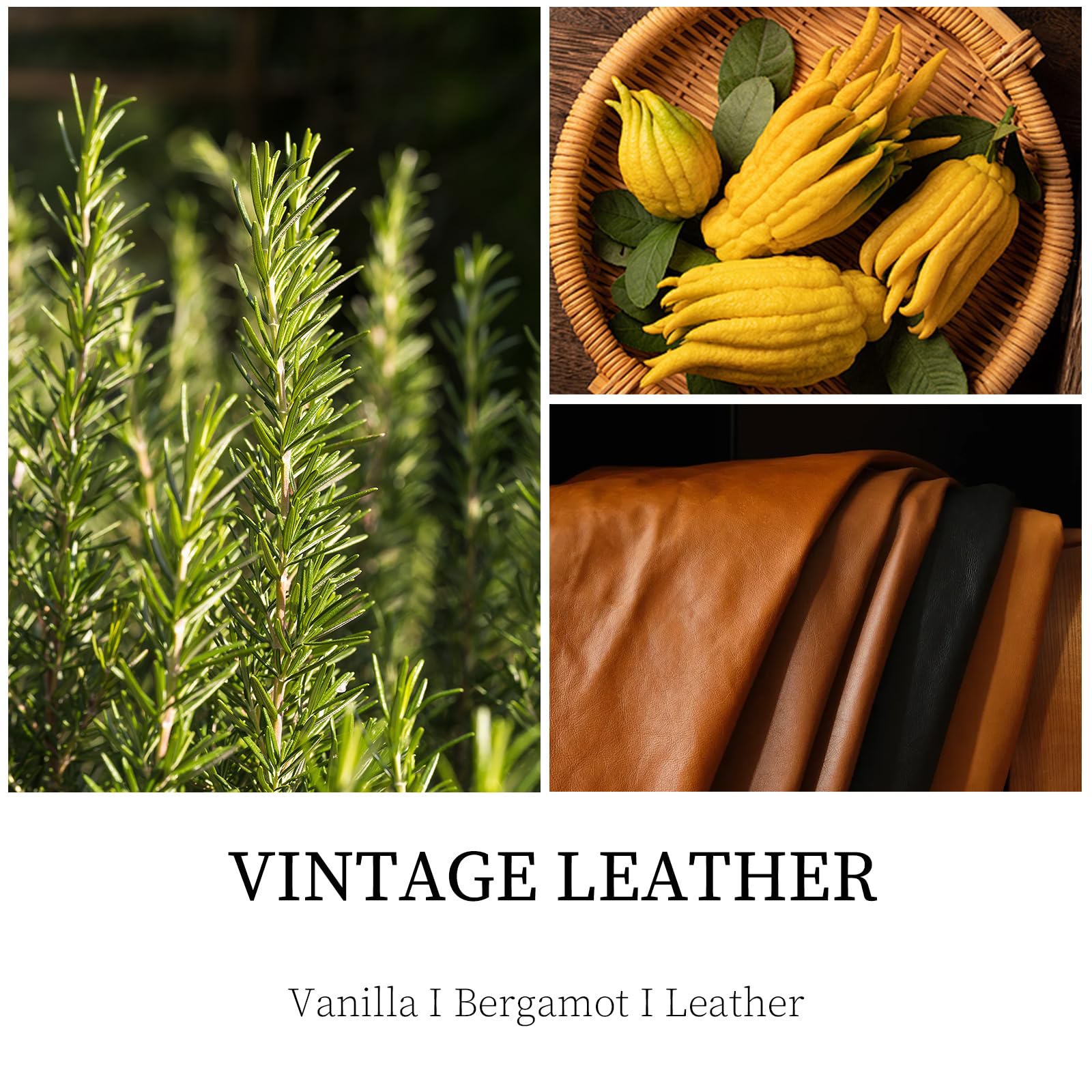 Fragrance notes: vanilla, bergamot and leather