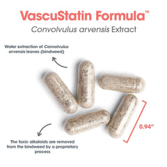 Medical professional holding VascuStatin Formula packaging