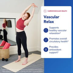 Illustration of endothelial function and vascular relaxation