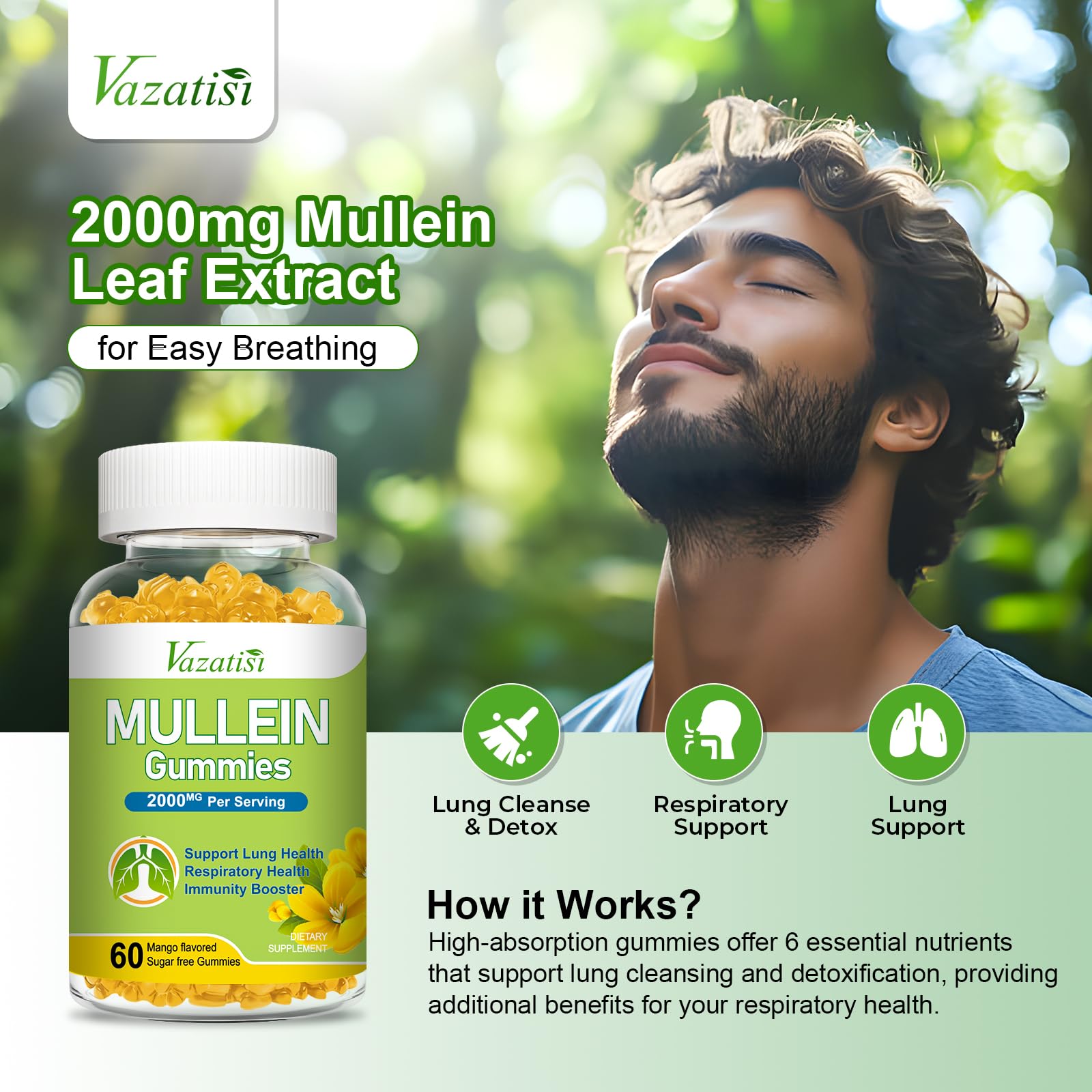 Ingredients collage showing Mullein Leaf, Bromelain, Pine Bark, Cordyceps, Quercetin and Vitamin C