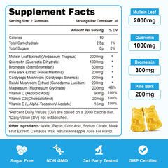 Manufacturing facility where Vazatisi Mullein Gummies are produced