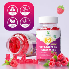 GMP-certified manufacturing facility for B2 gummies