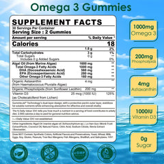 Ingredients graphic for vegan algae omega-3 gummies