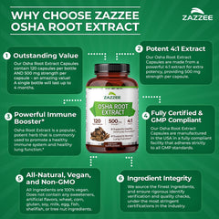 Vegan capsules: 120-count bottle