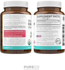 Vegan cranberry capsules for urinary tract health