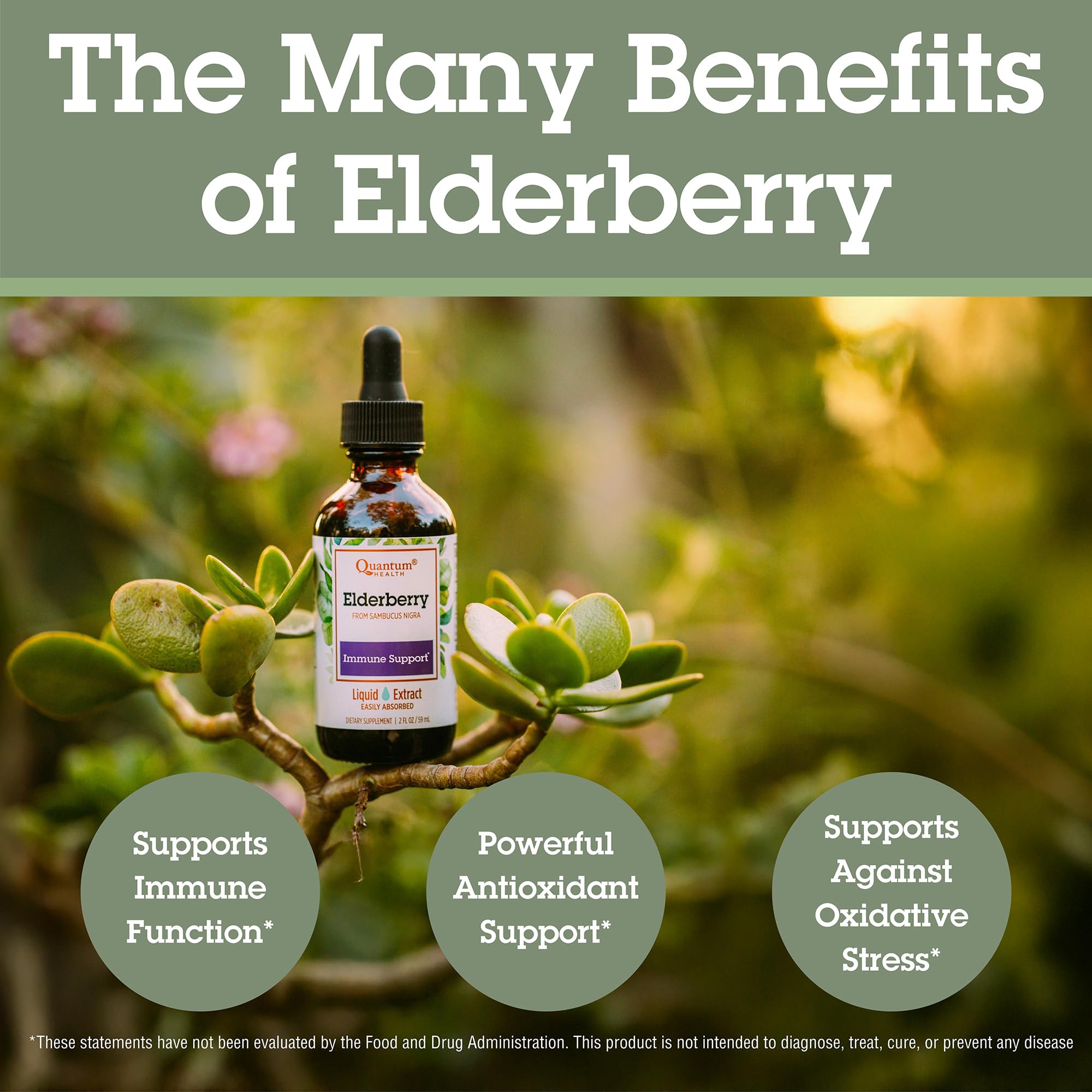 Vegan elderberry supplement icon