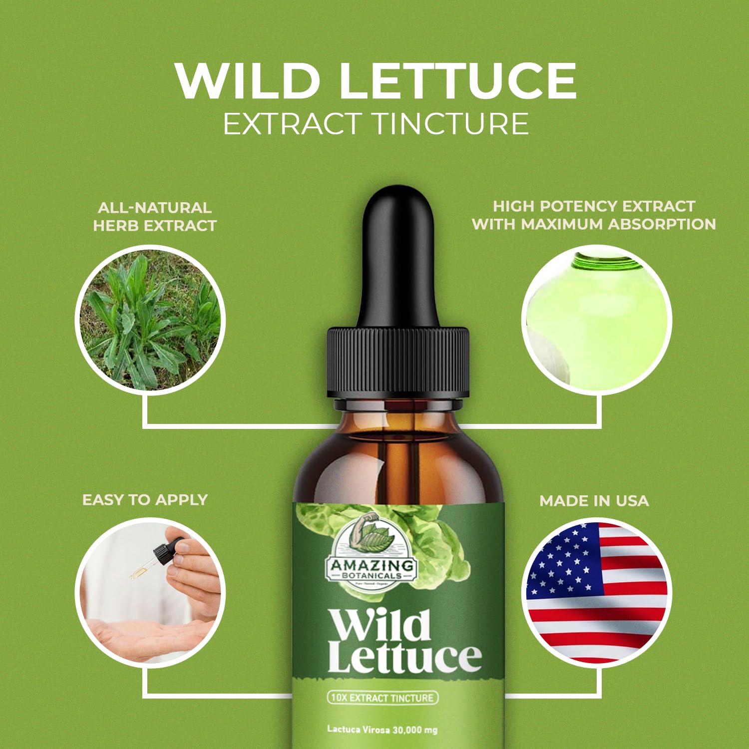 Vegan-friendly tincture ingredients display