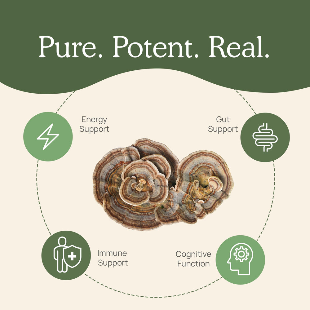 Vegan, gluten-free, non-GMO turkey tail powder product label