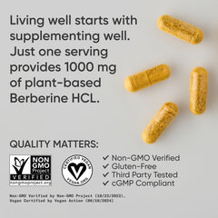 Vegan, gluten-free, and non-GMO certification seals