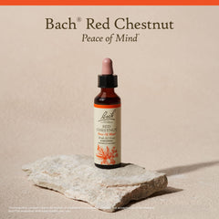 Vegan gluten-free sugar-free attributes for Bach Red Chestnut