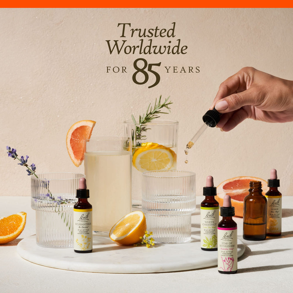 Label showing vegan, gluten-free, and sugar-free attributes