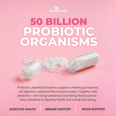 Vegan, GMP-certified, non-GMO probiotic supplement for women