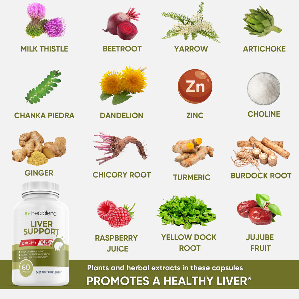 Diagram of zinc and herbal ingredients supporting digestive health