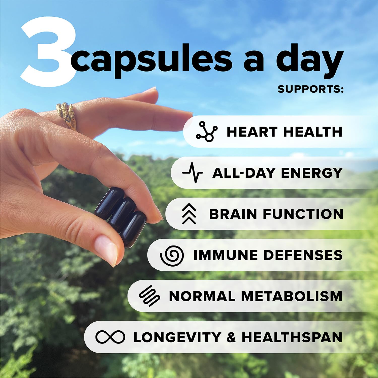 Vegan multivitamin ingredients: Omega-3 DHA & EPA, B12, D3 & K2, Zinc, Selenium, Iodine, Magnesium