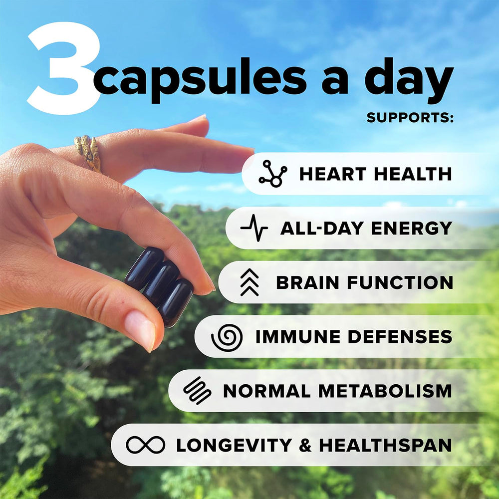 Vegan multivitamin ingredients: Omega-3 DHA & EPA, B12, D3 & K2, Zinc, Selenium, Iodine, Magnesium