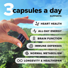 Vegan multivitamin ingredients: Omega-3 DHA & EPA, B12, D3 & K2, Zinc, Selenium, Iodine, Magnesium