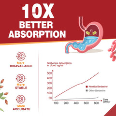 Vegan non-GMO berberine capsules, 120-count