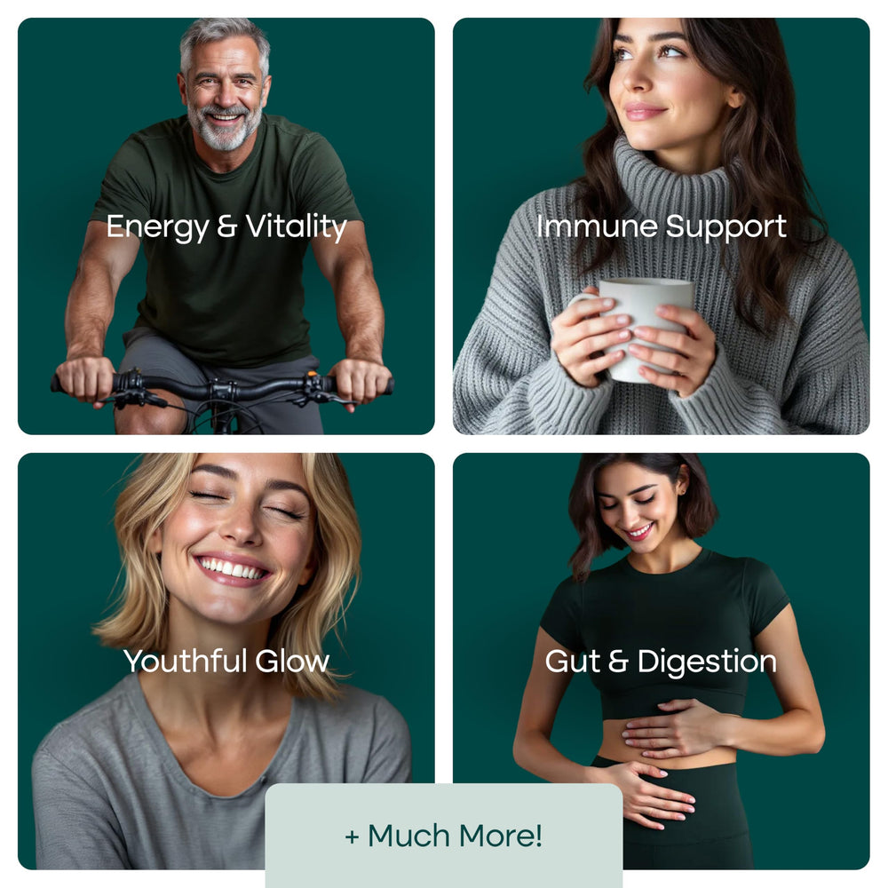 Vegan, non-GMO, gluten-free certification icons