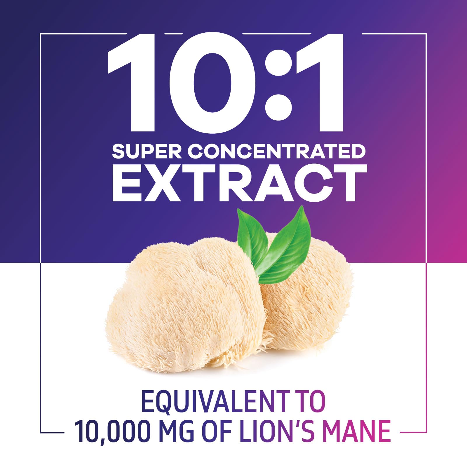 Vegan non-GMO Lions Mane supplement
