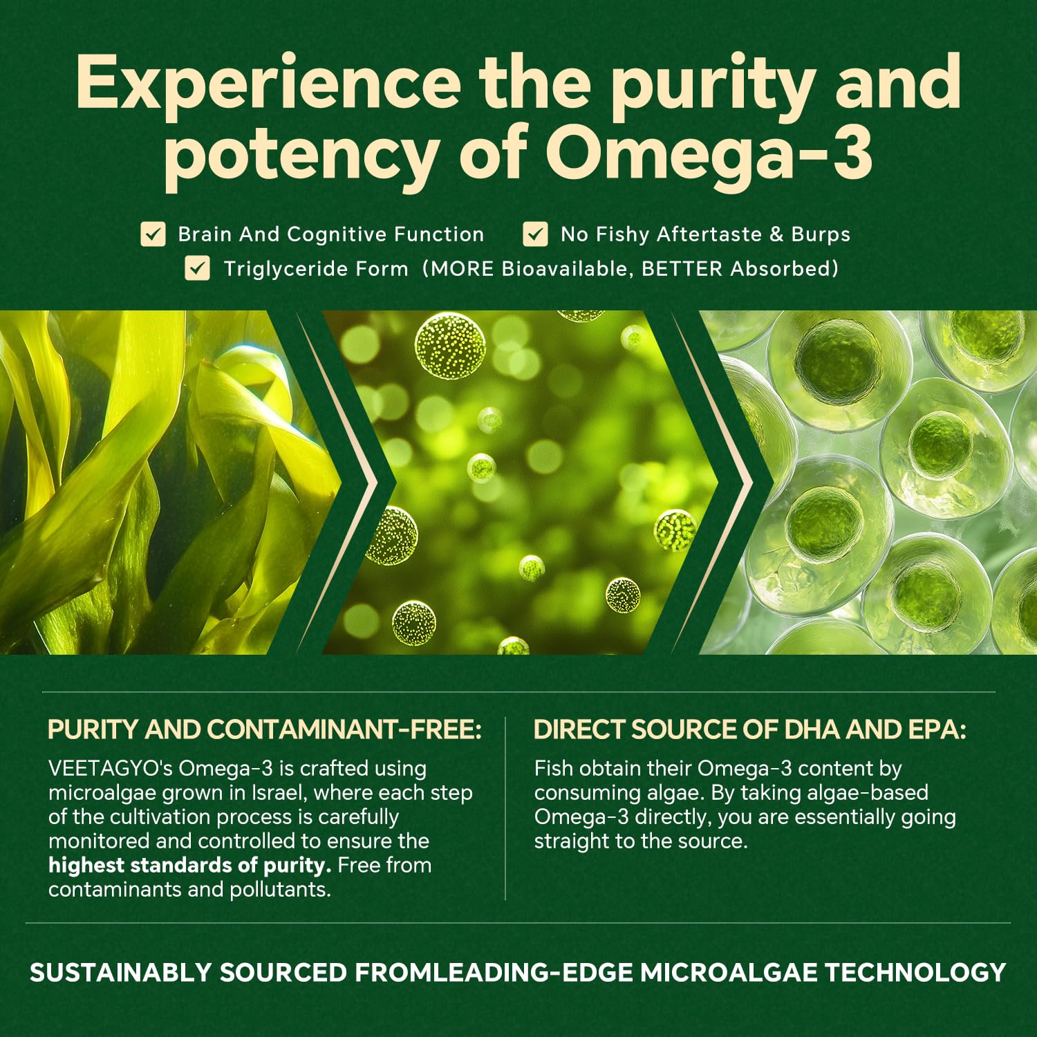 Outer pectin layer protecting nutrients