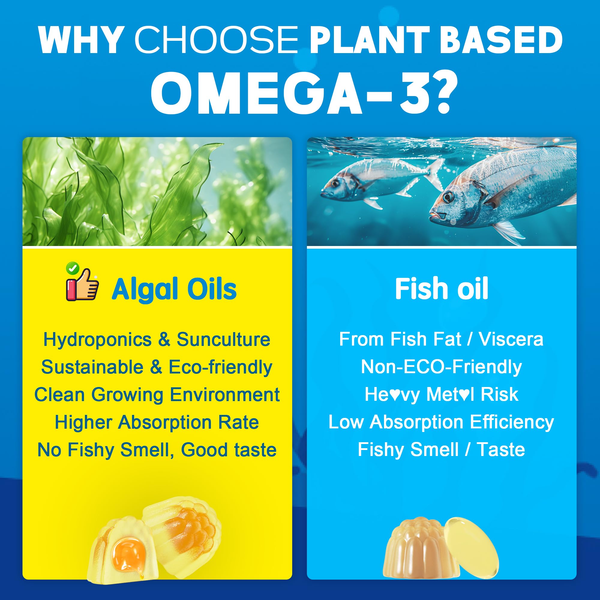 CoQ10 and magnesium included in formula