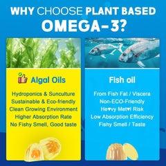 CoQ10 and magnesium included in formula