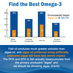 Product packaging hero image for Vegan Omega-3 Gummies