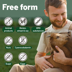 Plant-based omega-3 vegan supplement for comprehensive nutrition