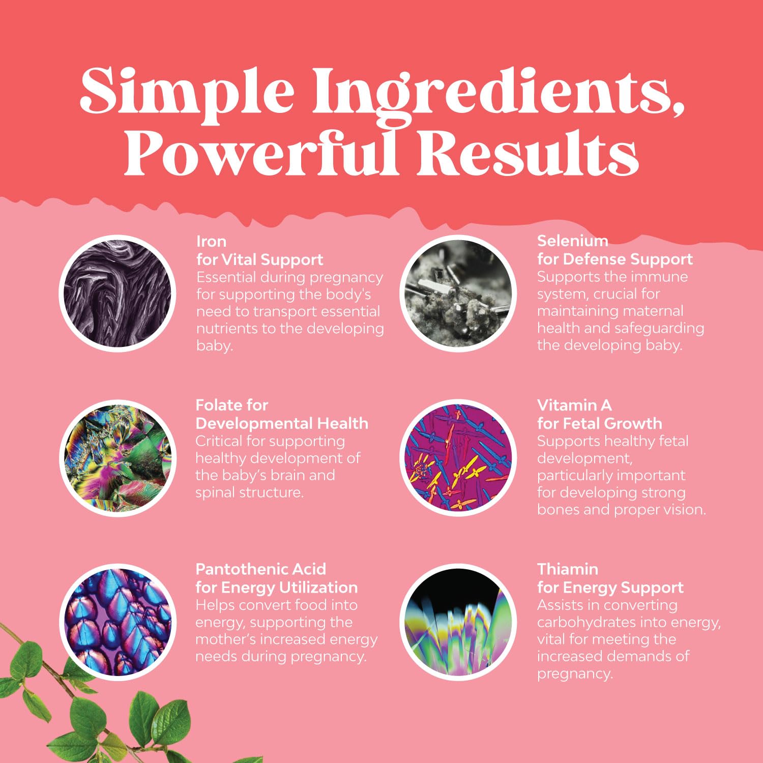 Concept image showing iron and folate ingredients for prenatal vitamins
