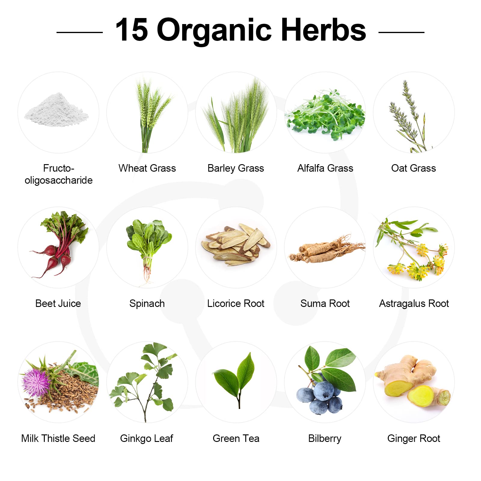 Vegan probiotic formula free from soy, egg, and shellfish