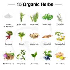 Vegan probiotic formula free from soy, egg, and shellfish
