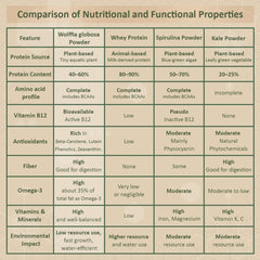 Graphic highlighting Wolffia as a vegan protein source