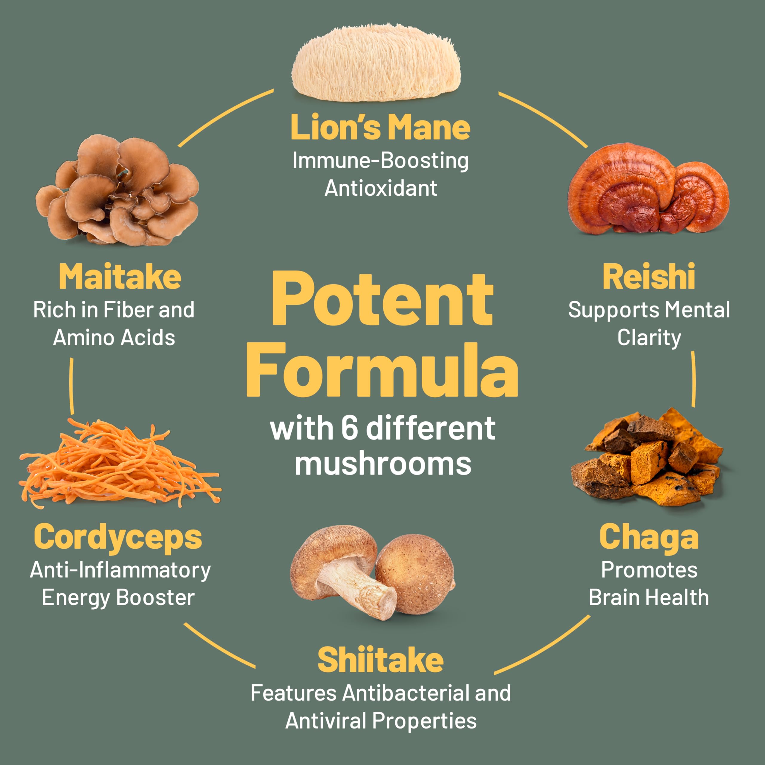 Mushroom complex supporting focus and brain energy