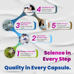 Resveratrol and Quercetin capsule close-up