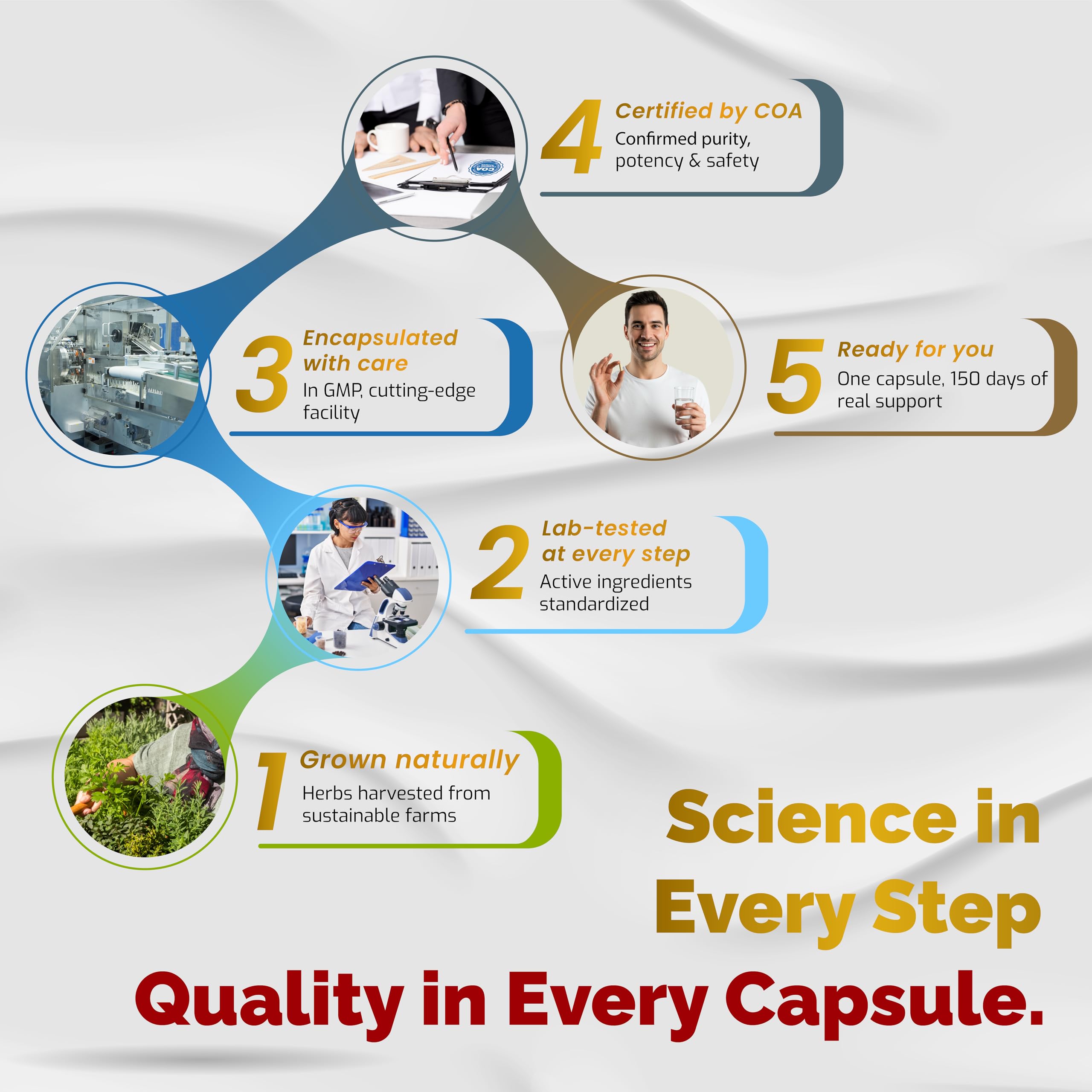 VEGATOT Organic Fisetin Complex packaging and capsules