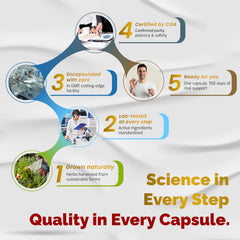 VEGATOT Organic Fisetin Complex packaging and capsules