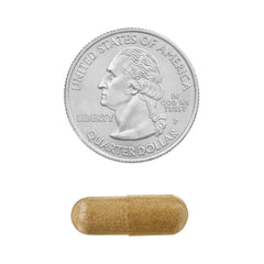 Close-up of vegetarian capsules