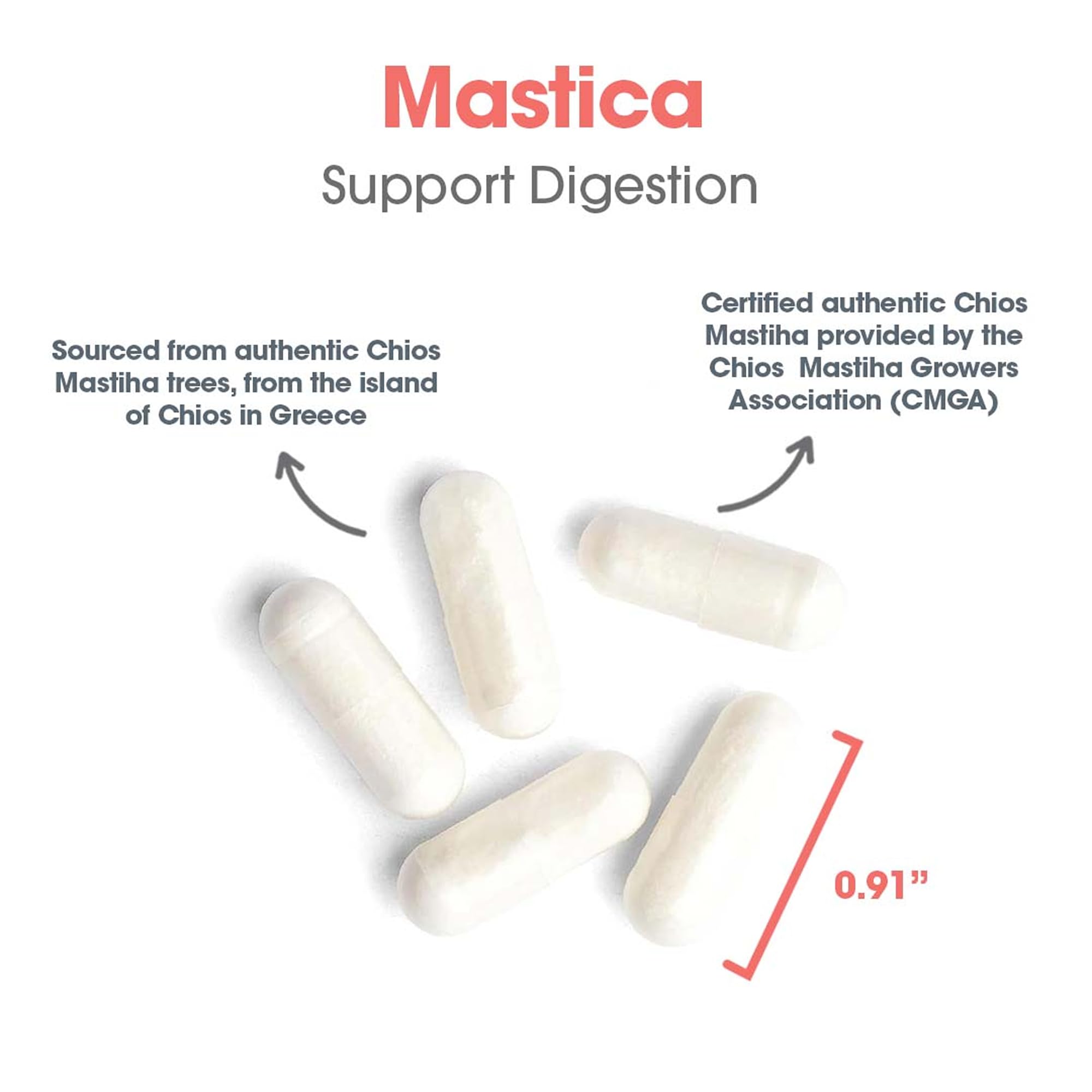 Vegetarian capsules of mastic gum supplement