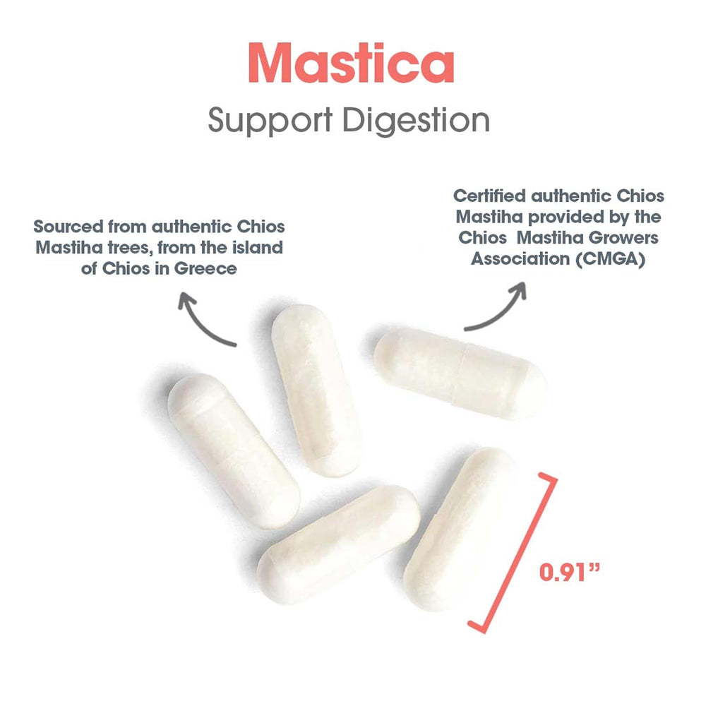 Vegetarian capsules of mastic gum supplement