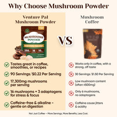 Graphic showing the 16-mushroom blend