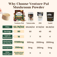 Serving scoop of mushroom powder being added to a smoothie