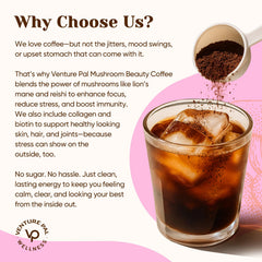 Chaga mushroom for antioxidant defense