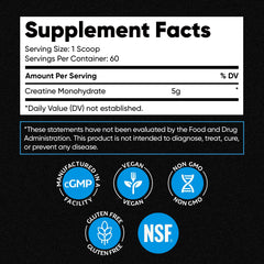 Close-up of Venture Pal creatine powder in a scoop