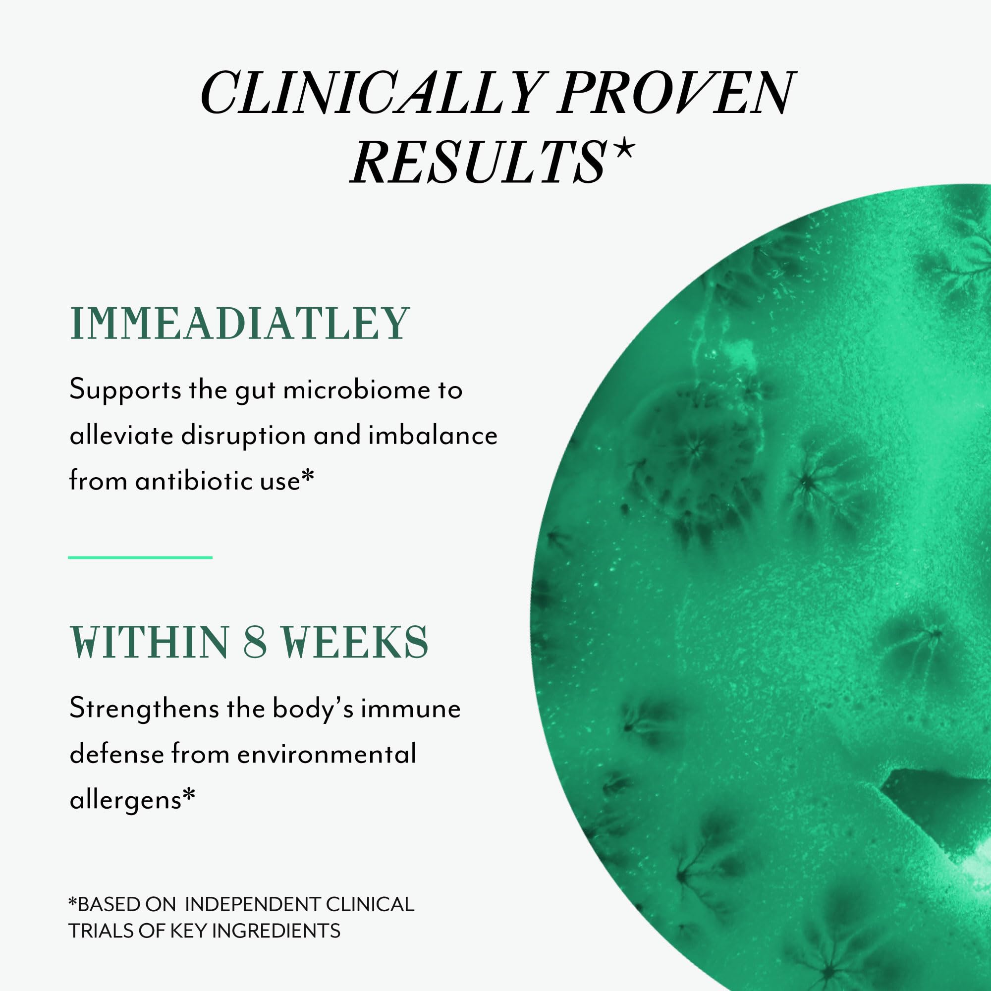 Graphic illustrating gut health and microbiome