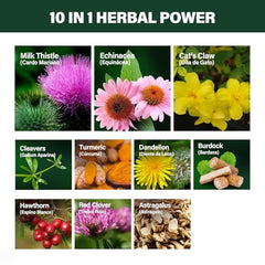 Lymphatic detox concept with herbal illustration
